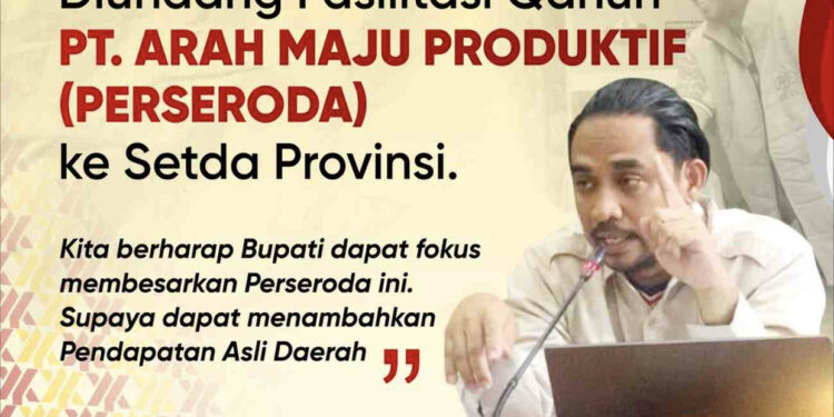 Diundang Terkait Qanun PT Arah Maju Produktif ke Setda Aceh,Ini Kata Anggota Banleg DPRK Aceh Selatan