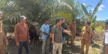 Pansus DPRK Aceh Selatan Periksa Perizinan dan Dampak Lingkungan PKS